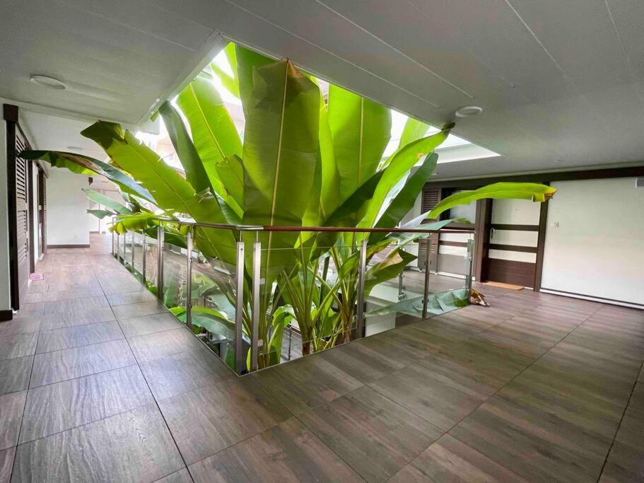 Superbe Appartement, Piscine, Vue Mer Et Montagnes Antibes Exterior foto