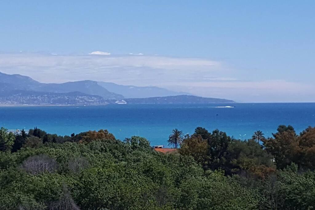 Superbe Appartement, Piscine, Vue Mer Et Montagnes Antibes Exterior foto